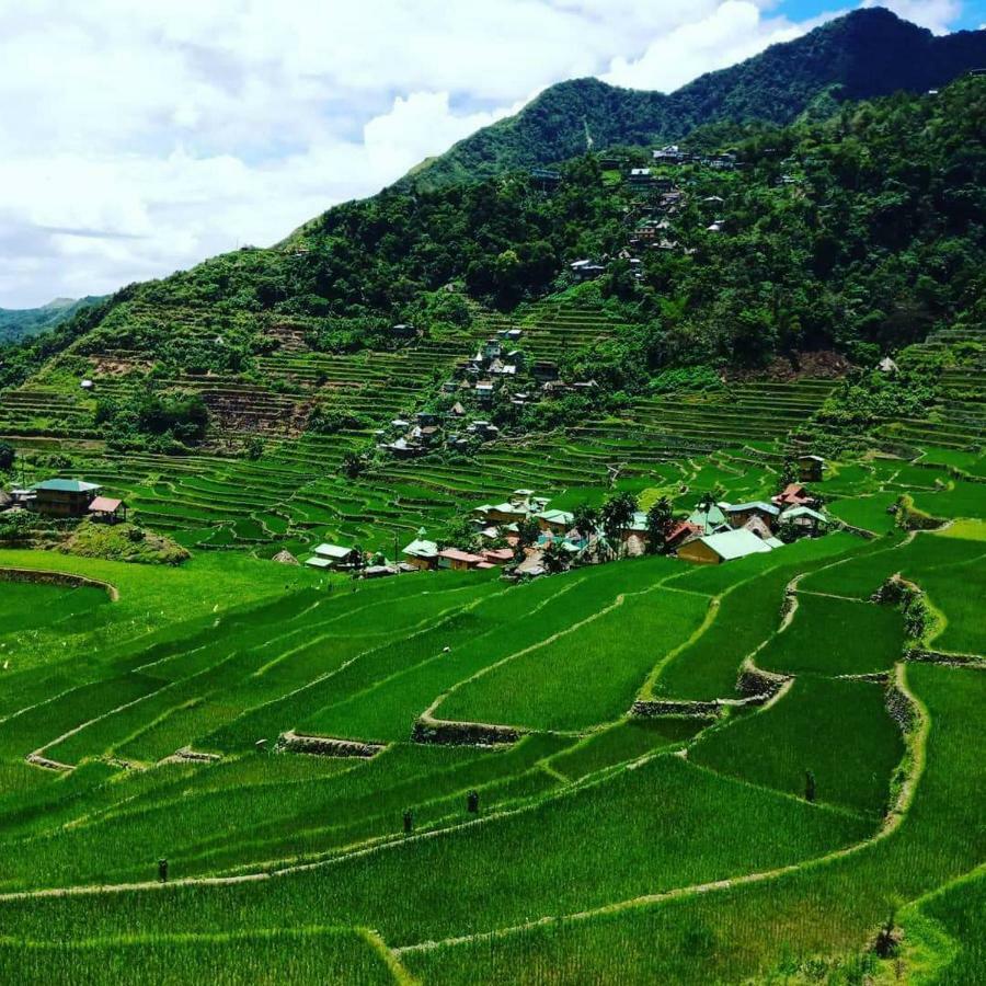 Batad Rita'S Mount View Inn And Restaurant Банауе Екстер'єр фото